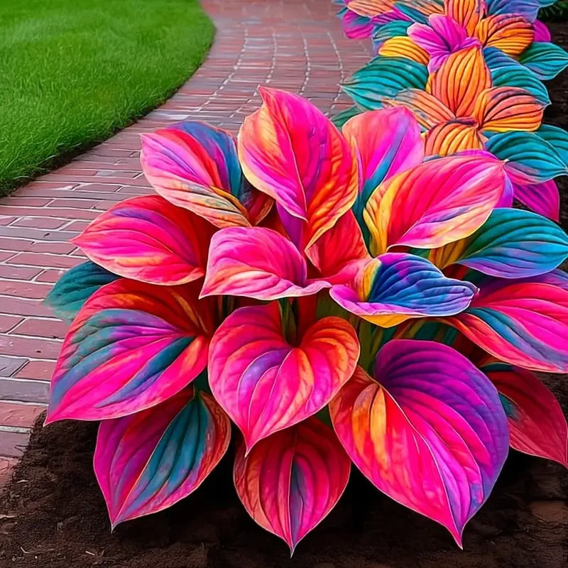 /69bce0c488fd210009310091/2026/04/14/product-img-69ddedebf707c0639afa46ed.png